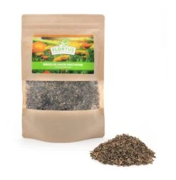 Ringelblumen Mischung | Blumenwiese Von FLORTUS 10 Ringelblumen Mischung | Blumenwiese Von FLORTUS -Günstiges Garten Wege Geschäft 554533 Ringelblumen Mischung 2000 0727 0