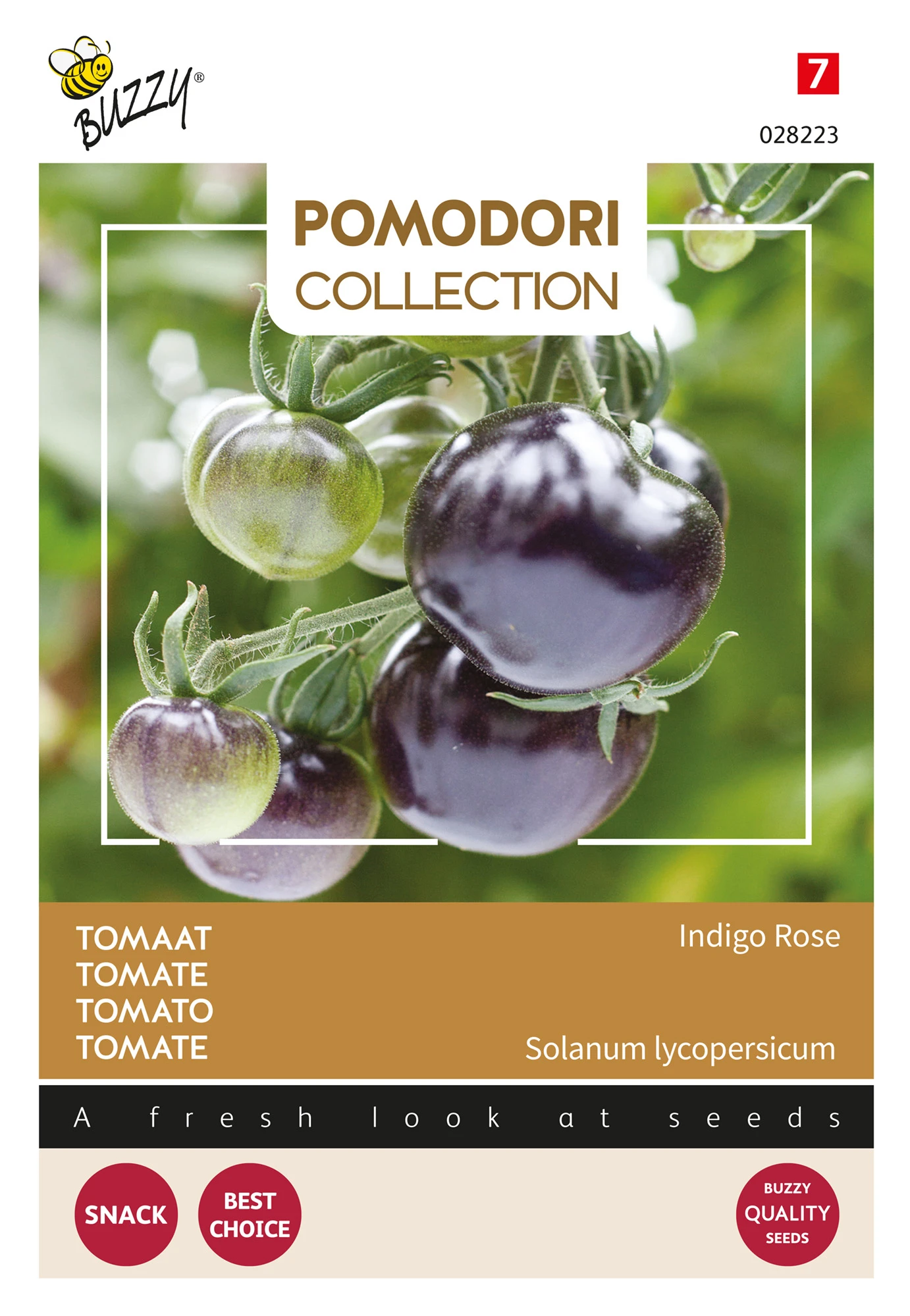 Tomate Pomodori Indigo Rose | Fleischtomatensamen Von Buzzy Seeds 2 Tomate Pomodori Indigo Rose | Fleischtomatensamen Von Buzzy Seeds – Bild 2