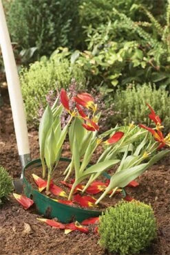 Blumenzwiebel Korb | Gartenzubehör Von Garland