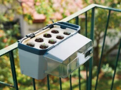 HARRY HERBS Kräutertopf Hellgrau | Kräutertöpfe Von Gusta Garden 17 HARRY HERBS Kräutertopf Hellgrau | Kräutertöpfe Von Gusta Garden -Günstiges Garten Wege Geschäft 560334 HARRY HERBS hellgrau 100B10 gg 1