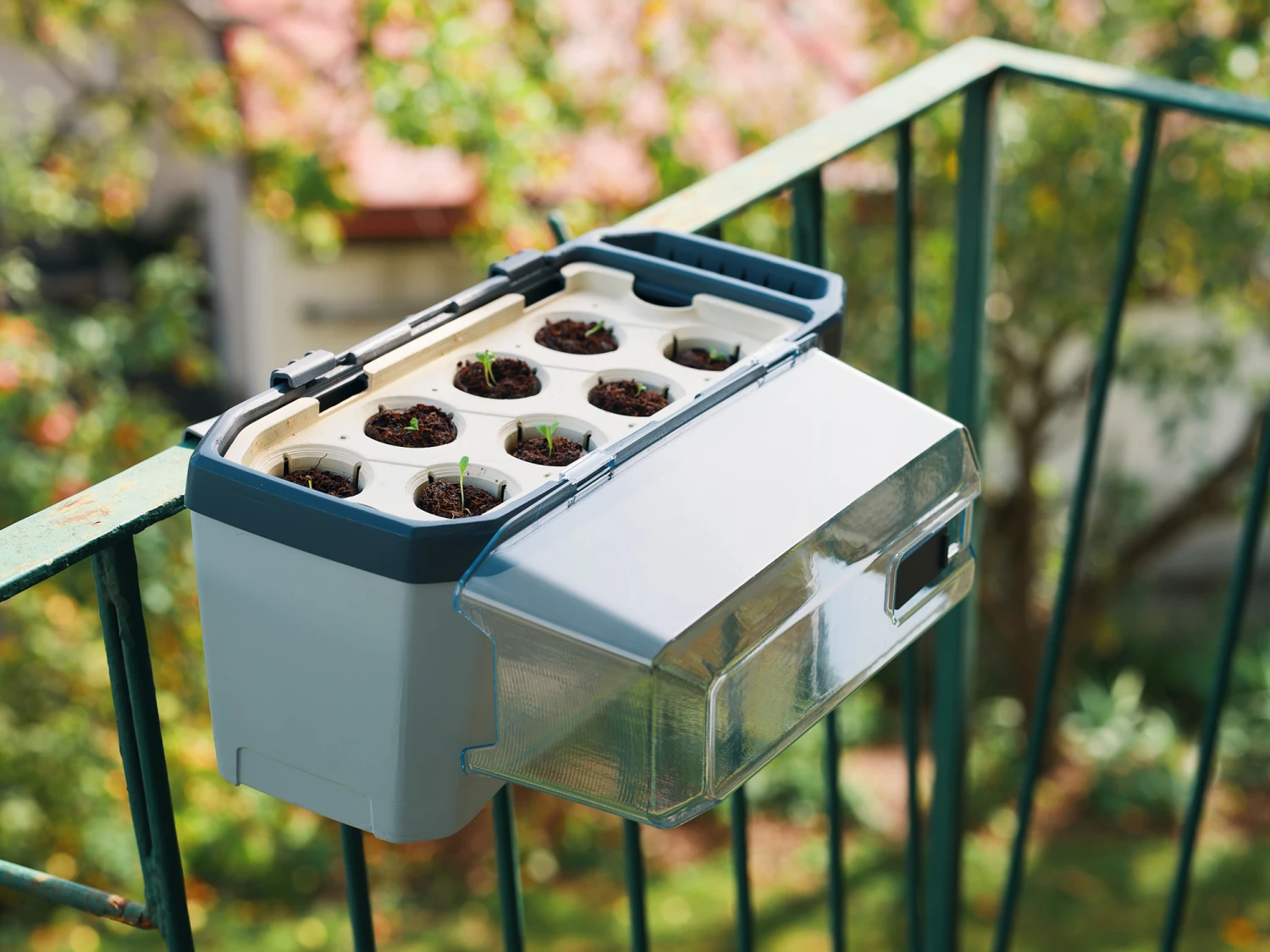 HARRY HERBS Kräutertopf Hellgrau | Kräutertöpfe Von Gusta Garden 8 HARRY HERBS Kräutertopf Hellgrau | Kräutertöpfe Von Gusta Garden – Bild 8