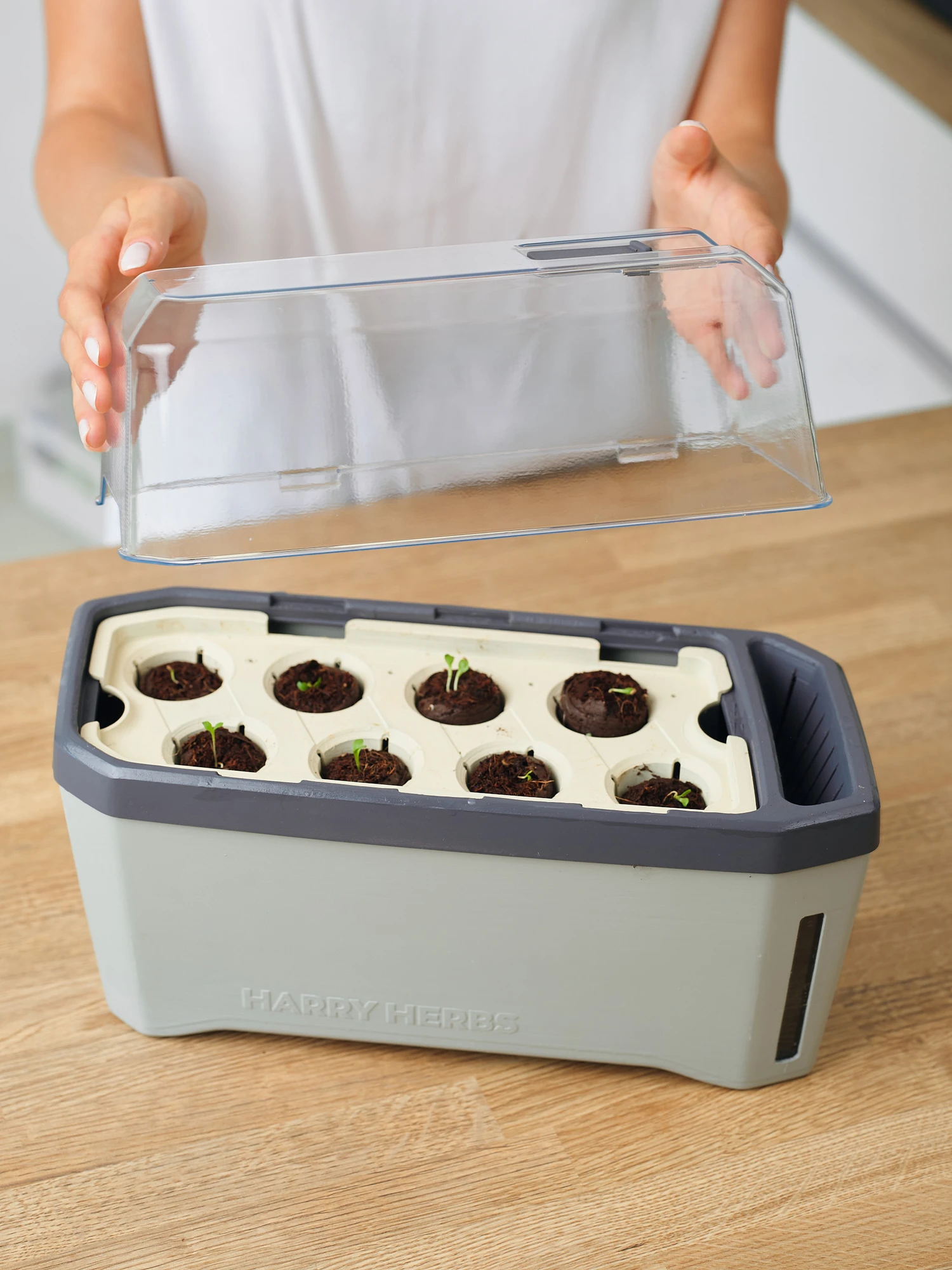 HARRY HERBS Kräutertopf Hellgrau | Kräutertöpfe Von Gusta Garden 6 HARRY HERBS Kräutertopf Hellgrau | Kräutertöpfe Von Gusta Garden – Bild 6