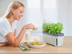 HARRY HERBS Kräutertopf Hellgrau | Kräutertöpfe Von Gusta Garden 12 HARRY HERBS Kräutertopf Hellgrau | Kräutertöpfe Von Gusta Garden -Günstiges Garten Wege Geschäft 560334 HARRY HERBS hellgrau 100B10 gg 7