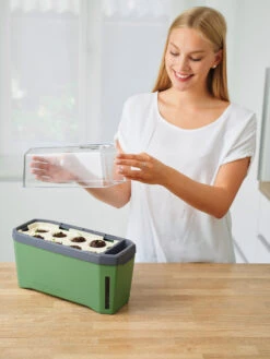 HARRY HERBS Kräutertopf Dunkelgrün | Kräutertöpfe Von Gusta Garden -Günstiges Garten Wege Geschäft 560338 HARRY HERBS dunkelgruen 103B10 gg 1