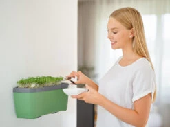 HARRY HERBS Kräutertopf Dunkelgrün | Kräutertöpfe Von Gusta Garden -Günstiges Garten Wege Geschäft 560338 HARRY HERBS dunkelgruen 103B10 gg 4