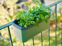 HARRY HERBS Kräutertopf Dunkelgrün | Kräutertöpfe Von Gusta Garden -Günstiges Garten Wege Geschäft 560338 HARRY HERBS dunkelgruen 103B10 gg 7