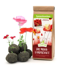 Samenbomben Die Mohnlandschaft (6 Stück) | Mohnsamen Von FLORTUS -Günstiges Garten Wege Geschäft 562163 Samenbomben Die Mohnlandschaft 6 Stueck 2000 1054 1
