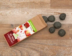 Samenbomben Die Mohnlandschaft (6 Stück) | Mohnsamen Von FLORTUS -Günstiges Garten Wege Geschäft 562163 Samenbomben Die Mohnlandschaft 6 Stueck 2000 1054 3