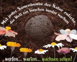 Samenbomben Urlaub Auf Balkonien (6 Stück) | Blumensamenmischung Von FLORTUS -Günstiges Garten Wege Geschäft 562167 Samenbomben Urlaub auf Balkonien 6 Stueck 2000 1058 5
