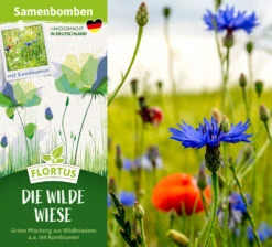 Samenbomben Die Wilde Wiese (6 Stück) | Wildblumenwiese Von FLORTUS -Günstiges Garten Wege Geschäft 562168 Samenbomben Die wilde Wiese 6 Stueck 2000 1059 2