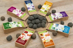 Samenbomben Set (8 Päckchen) | Blumensamenmischung Von FLORTUS 11 Samenbomben Set (8 Päckchen) | Blumensamenmischung Von FLORTUS -Günstiges Garten Wege Geschäft 562498 Samenbomben Set 8 Paeckchen 2000 2367 3