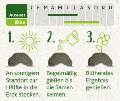 Samenbomben Set (8 Päckchen) | Blumensamenmischung Von FLORTUS 15 Samenbomben Set (8 Päckchen) | Blumensamenmischung Von FLORTUS -Günstiges Garten Wege Geschäft 562498 Samenbomben Set 8 Paeckchen 2000 2367 4