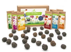 Samenbomben Set (8 Päckchen) | Blumensamenmischung Von FLORTUS 10 Samenbomben Set (8 Päckchen) | Blumensamenmischung Von FLORTUS -Günstiges Garten Wege Geschäft 562498 Samenbomben Set 8 Paeckchen 2000 2367 5