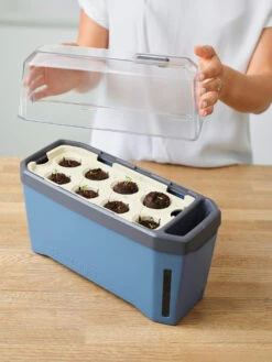 HARRY HERBS &amp; FLORTUS Kräuter Set | Anzuchtsets Von FLORTUS -Günstiges Garten Wege Geschäft 562699 HARRY HERBS und FLORTUS Kraeuter Set 2000 2387 blau 3