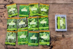 HARRY HERBS & FLORTUS Kräuter Set | Anzuchtsets Von FLORTUS